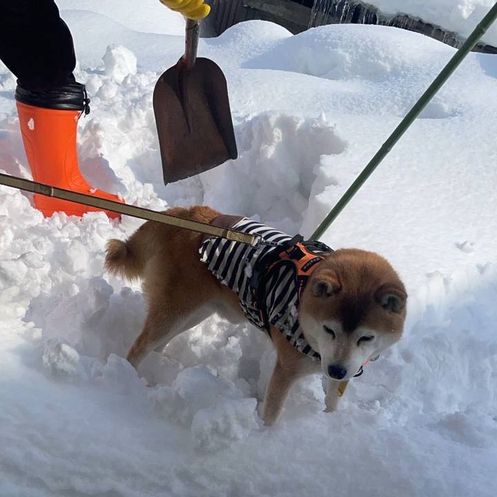 70c88510 4953 47ea 9fbd 7d4d6fe30429 1643803917642