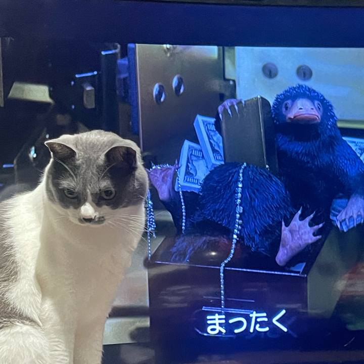 70c8c4c1 2712 4701 954d 6299f4bc9ca7 1683733011937