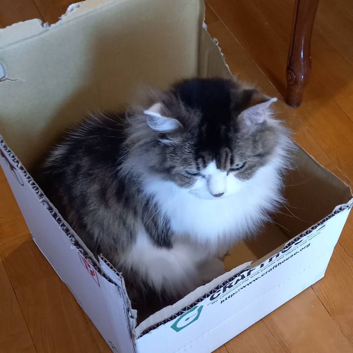 70c90b44 64f1 4023 857e 44abd4f2d48b 1656979066082