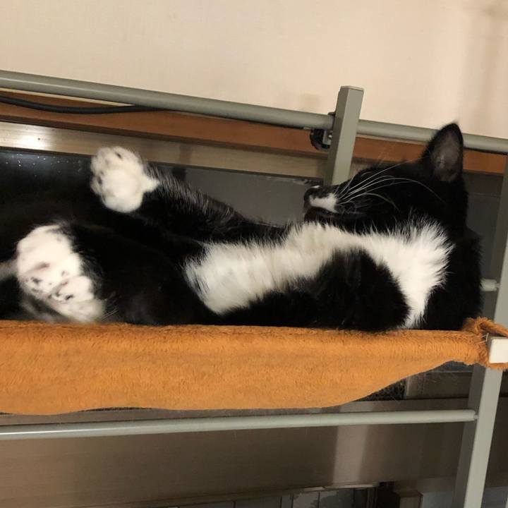 70c919d1 cfd3 4ee7 82a9 7d1486300038 1576035962739