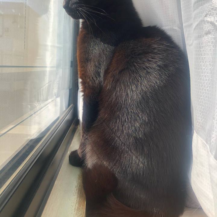 70c91de7 5c0a 4351 8fab 8a5d596e36aa 1615985759705