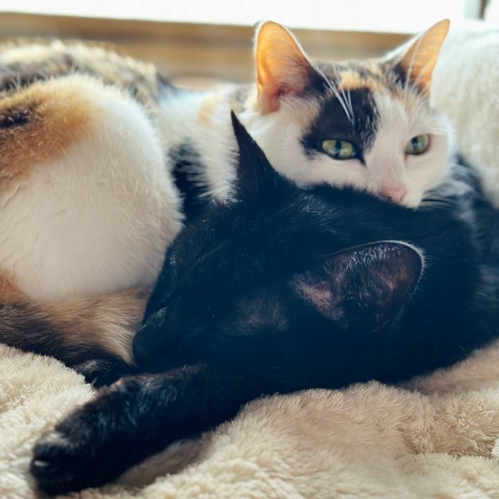 70c92d7b 8be6 4998 8a6b 1fd11e9e0453 1711504450687