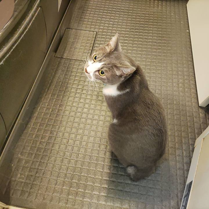 70c948d0 a6ce 4159 a04b 34de23b91eb5 1666184220517