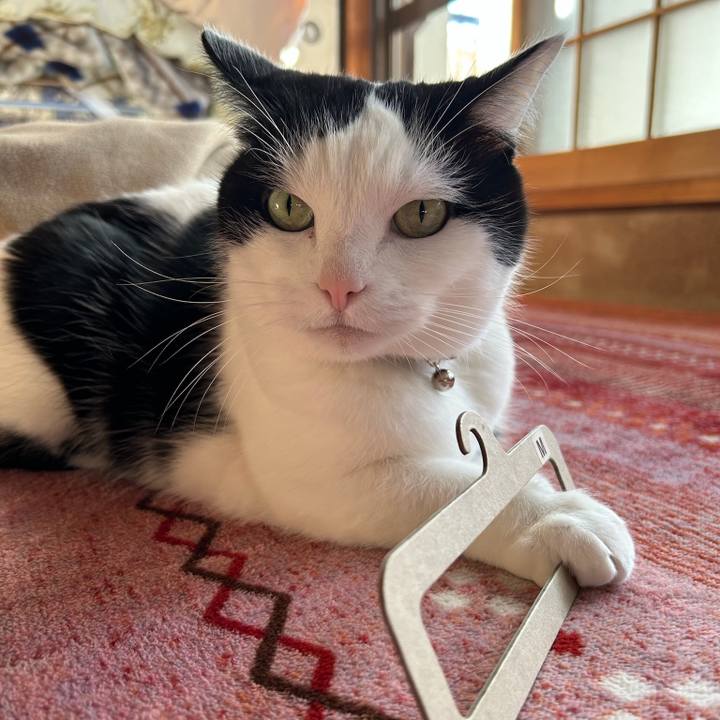 70c949f6 3de4 4cc0 a42c dd091a0e0b9d 1768012188563