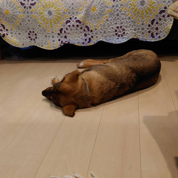 70c9604b a8e1 4367 8417 e2799ea3945c 1686924112226