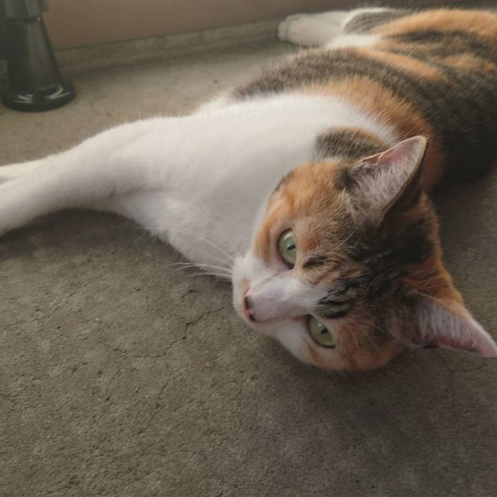 70c96367 3038 46a9 9415 009956da9d0e 1623579282598