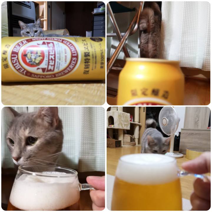 70c9697e b43c 402b 9d58 cfed1b62ab1a 1564709668527