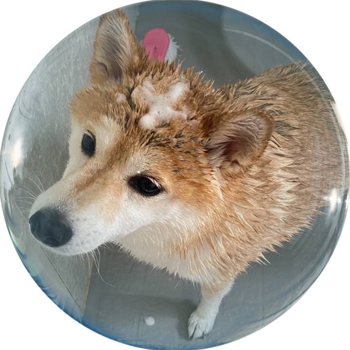 70c96bec 9db6 4be4 9f13 b587a98b219f 1621743359488