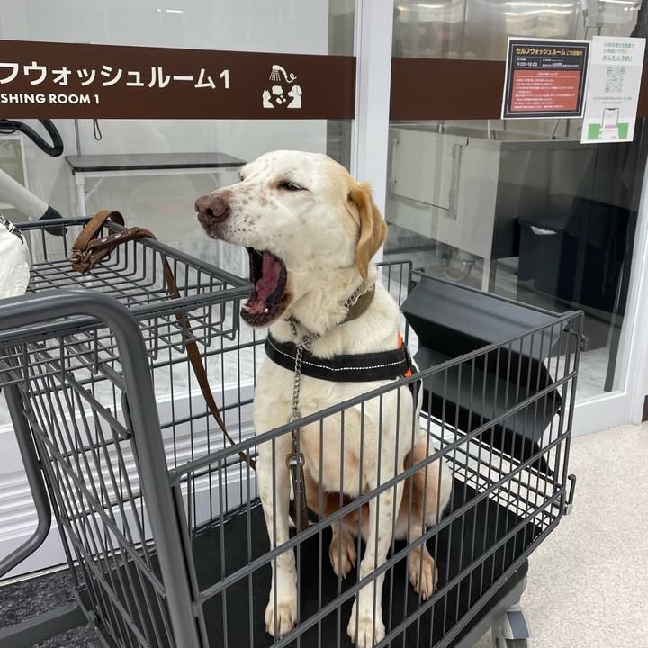 70c9a292 28c8 47e8 889c b33d5bd30db9 1772239591978