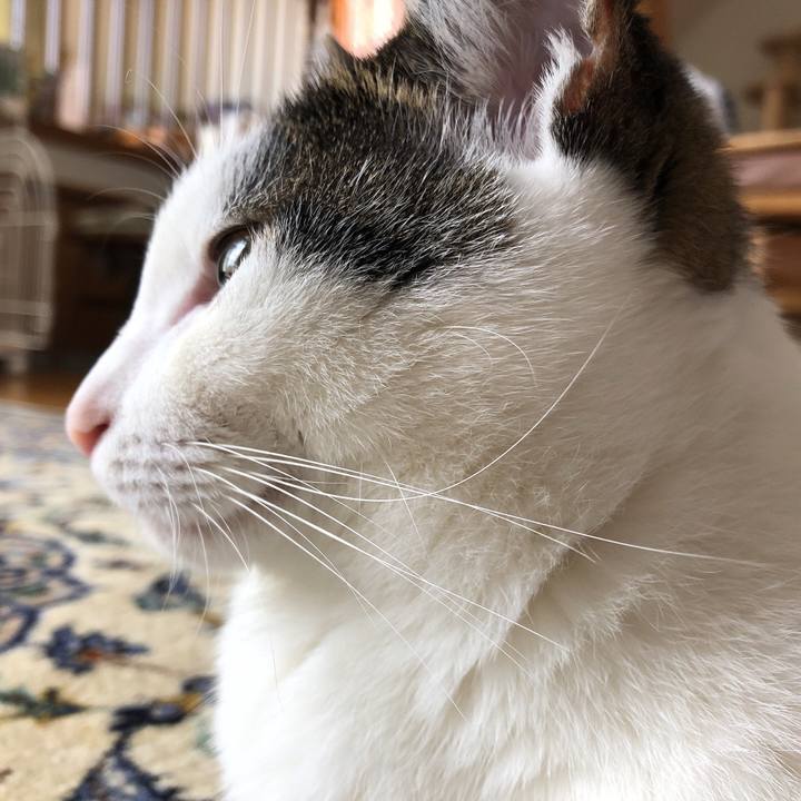 70ca0586 3aa1 4732 aca2 8b18d8ac0f64 1633916731616