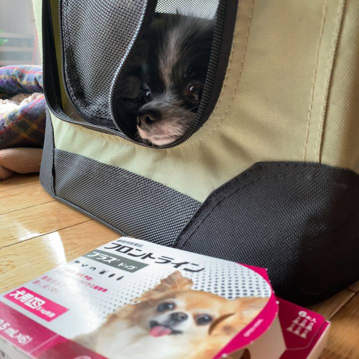 70ca29d2 d59a 48ab 80c5 923cbac897e9 1567202669769