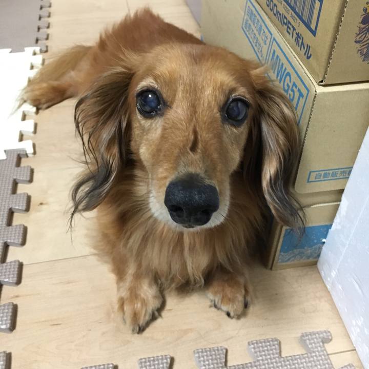 70ca51b5 31b2 455f bca1 44ea1ffd42e2 1560768558172