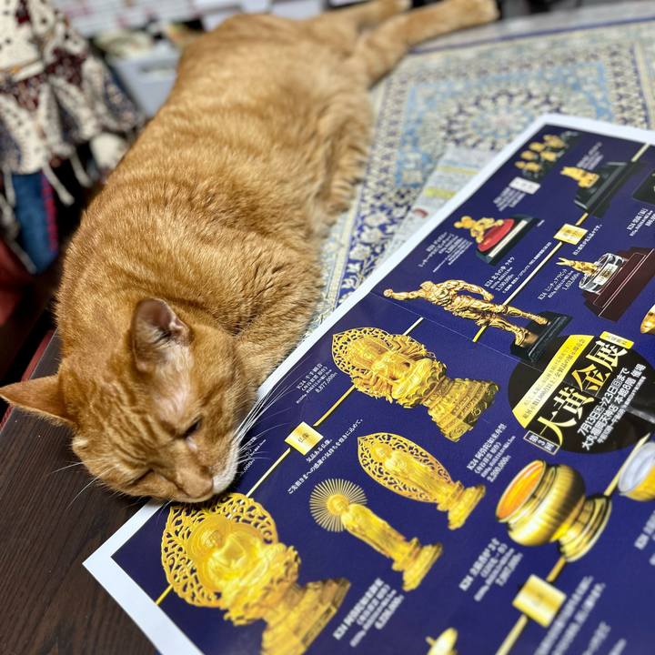 70ca861d 946a 4c15 8a8a 265c71343980 1688776160719