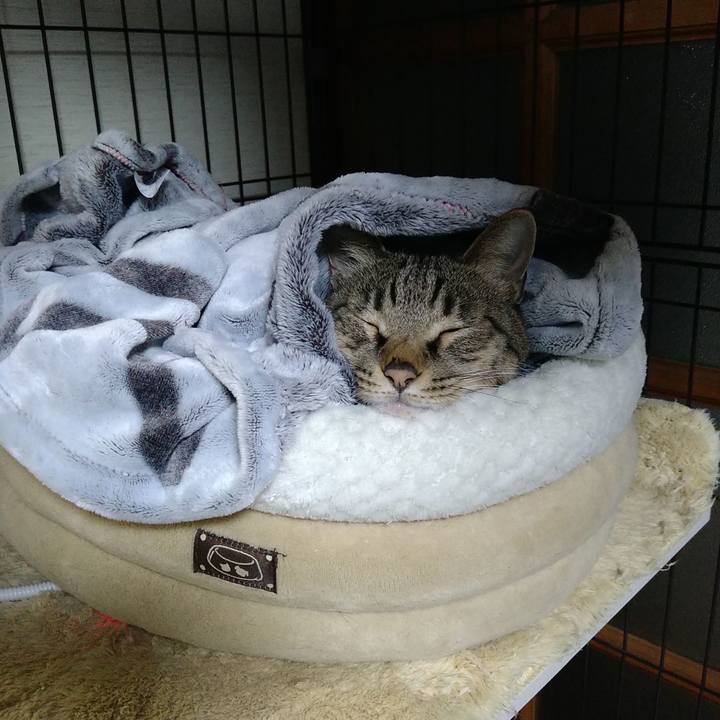 70cabcee 7120 4c3b b49f e1a35ab1361f 1731669446054