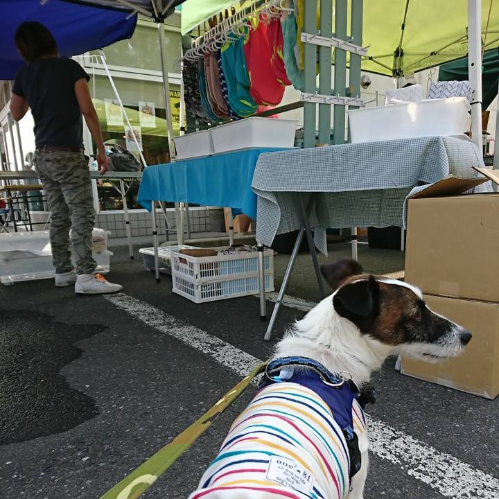 70cac0a0 03f6 4105 a8ad 89684c11a44e 1527412312953