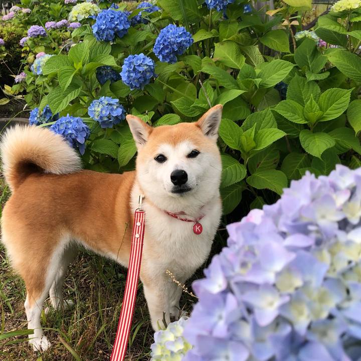 70cac535 bef5 4543 94d7 dd109bface73 1621987354707