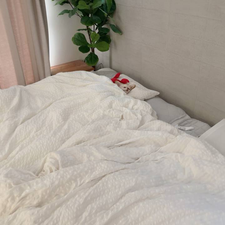 70cad4ab 963b 4a75 9e1c 61a41f108d4b 1725866189724