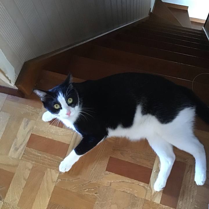 70cae400 e2c7 431c a30f 02c591749136 1694606390097