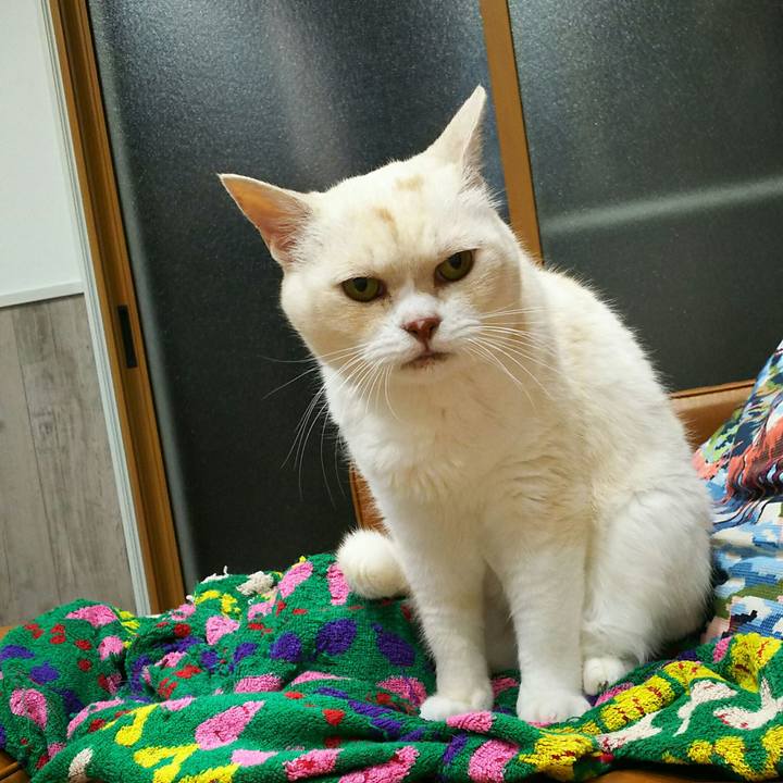 70cb20ef 2f9f 48f7 ac3e fa9188f314f8 1562766201295