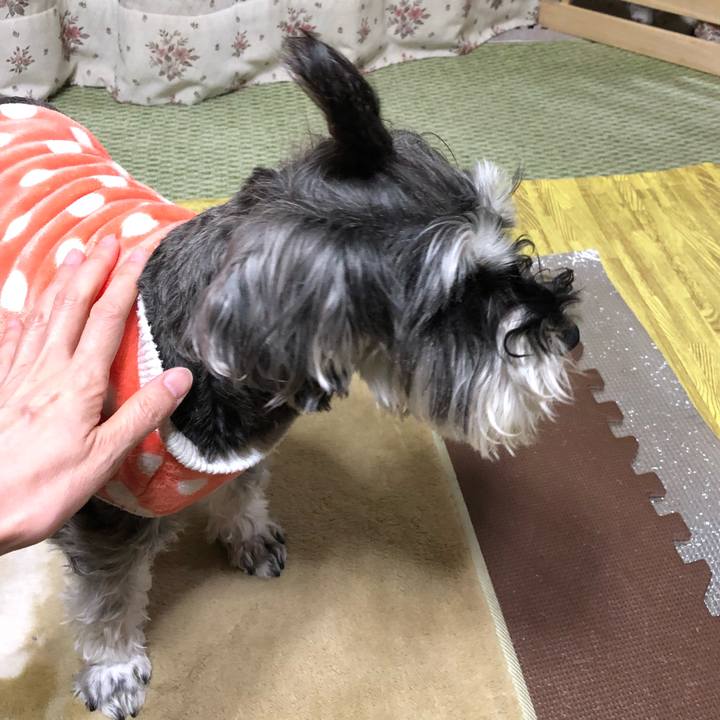 70cb4026 760f 4b7c a72a 190abedaa66b 1520421251154