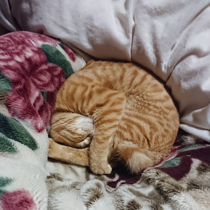 70cb45d7 ea5b 44a3 99d3 878a8833bdb9 1642334995130