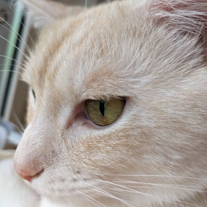 70cb55d4 e139 41b5 9c89 617b9e61af97 1690035103072