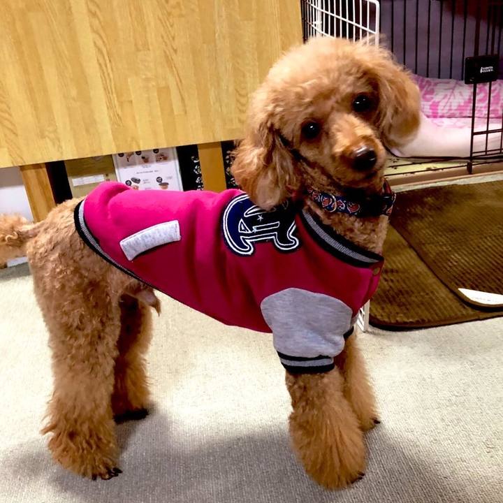 70cb88da ffcb 4368 a473 c64ff769bbf1 1645485875860