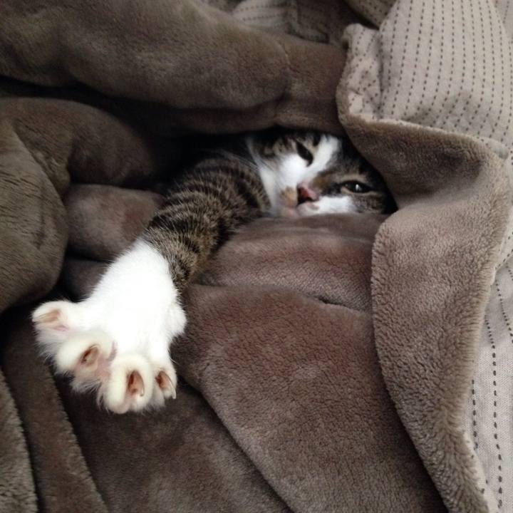 70cbe135 1e24 4bbb a920 b9f688c01c79 1510106556205