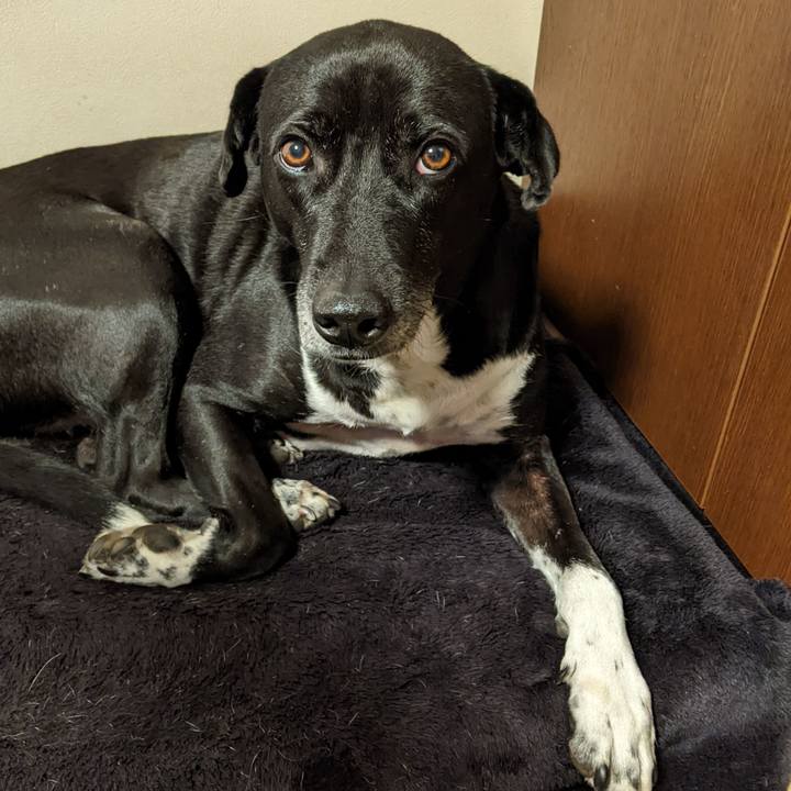 70cbe72e 76e2 4542 b194 ec4359eb8608 1674252174343