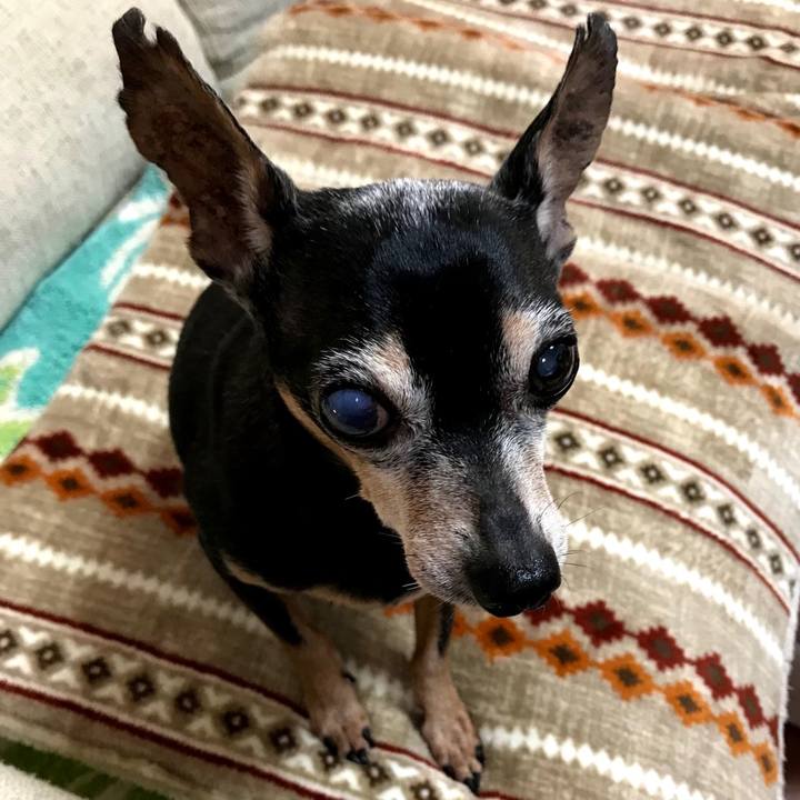 70cc19bd 92dc 43fb bbf3 1dcf1fa3874e 1579394092305