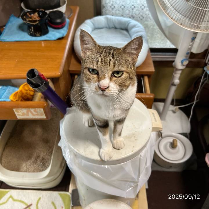 70cc2f06 eddd 4ed1 bdac c23f1b9a9a6b 1757628499132