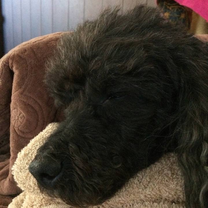 70cc3923 f670 4a4a bf27 fa515caa70b8 1514345982564