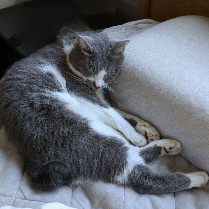 70cc40be be64 404b bbaf 1f223efbdc38 1728701753933