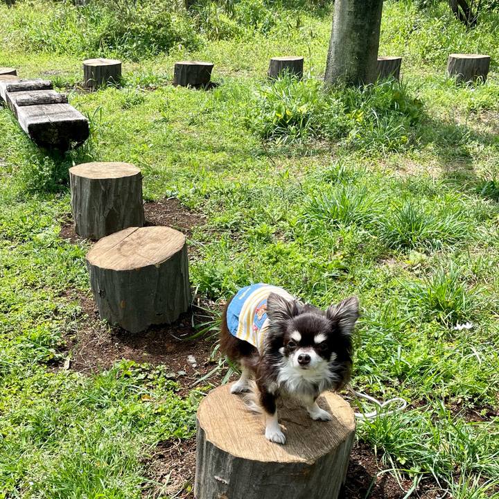 70cc686c bb66 41b7 8c73 5a158b8f26ed 1650875045748