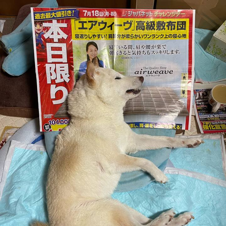 70cc9874 76c1 4902 978f 1d4e7d35f9c2 1658148134540