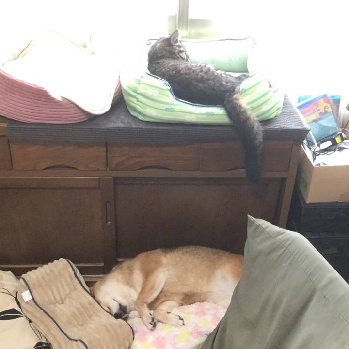 70cca7c7 0196 43c7 ac50 455c6c88f82b 1593301433656