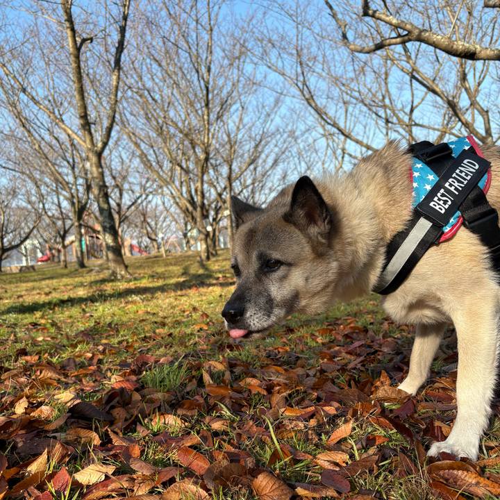 70ccae8e 8d10 40c6 9de0 20aaa97cffb2 1765111632576