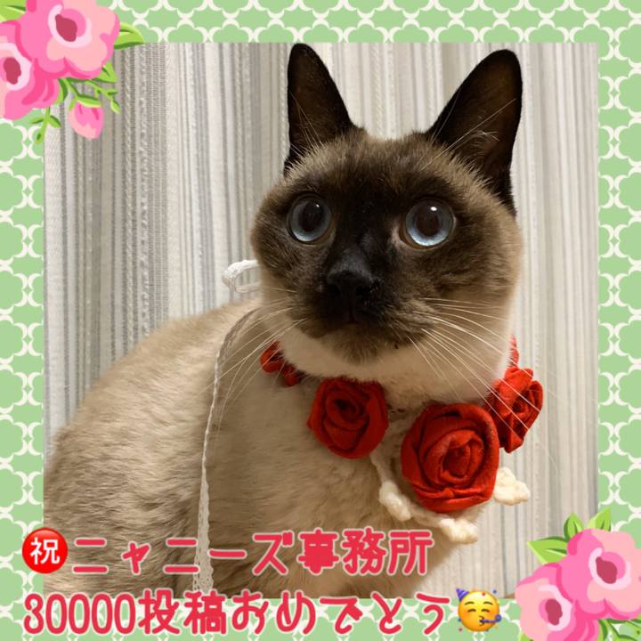 70cce6eb 1d8c 4fd1 9fab 968c79fea269 1576404718975