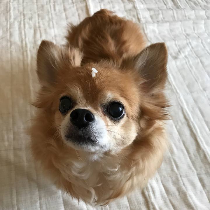 70cd3afd 8583 44a3 a538 6298af5f1e03 1524221215586