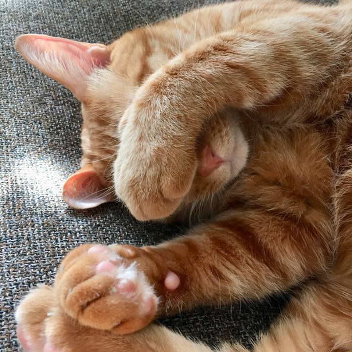 70cd6f29 875a 45b0 952f 6e4d53727b48 1511518952474