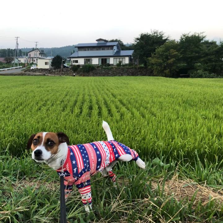 70cd8ed4 e17b 43c7 b1b8 5986c1048bdd 1566041746301