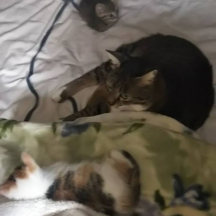 70cdc727 3e56 433b 82e9 0711b6ae29e1 1632834777228