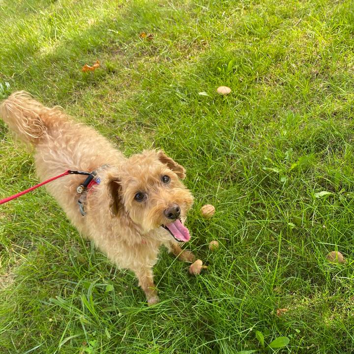 70cde5fa 1438 463c aa20 261a48ef3f24 1659260107689