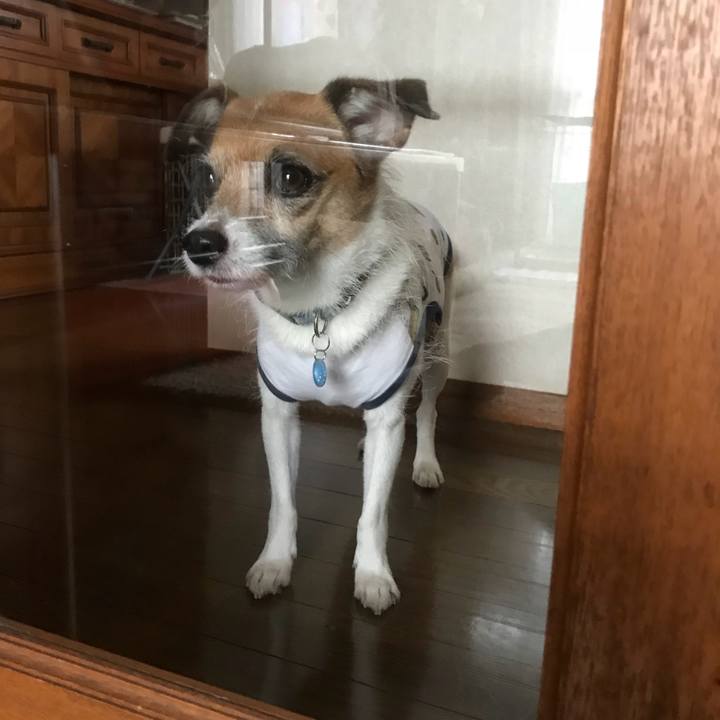 70cdeab4 d3a2 4da5 8fa8 b656cb106abc 1536645629663