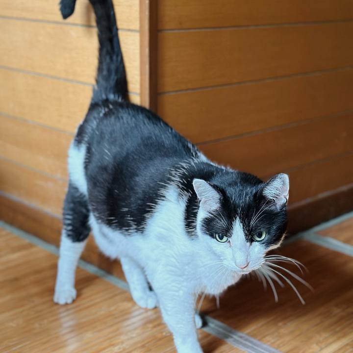 70ce3ae1 fe9a 4e59 933a 795d9345e31c 1721777438050