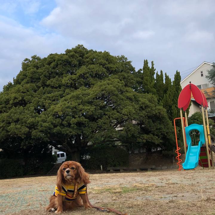 70ce3fbb a92a 451f b822 3e8efca51020 1608037687769