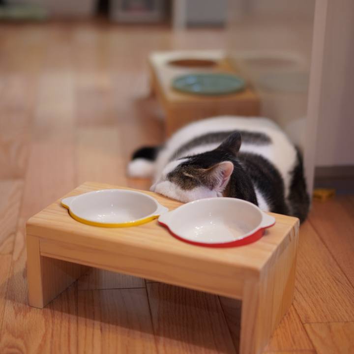 70ce680a a506 4e01 b41f 219557fca7be 1625579249248