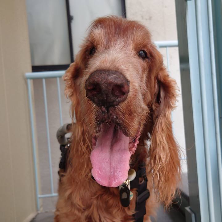 70ce69dd 6d03 4385 812f a6c204e7258e 1717033562090