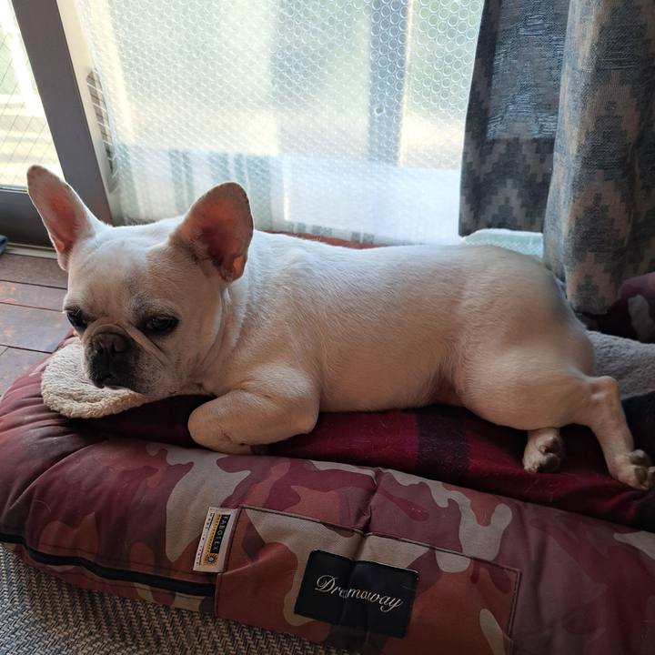 70ce726f e14d 4e6d 99d2 d88247680484 1747298100677