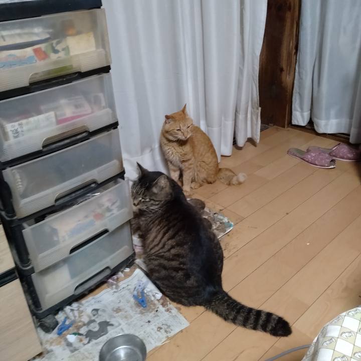 70cea073 ebea 4c77 9883 a29b66169d33 1717106972075